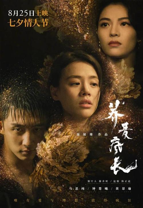罗切斯特制作假证